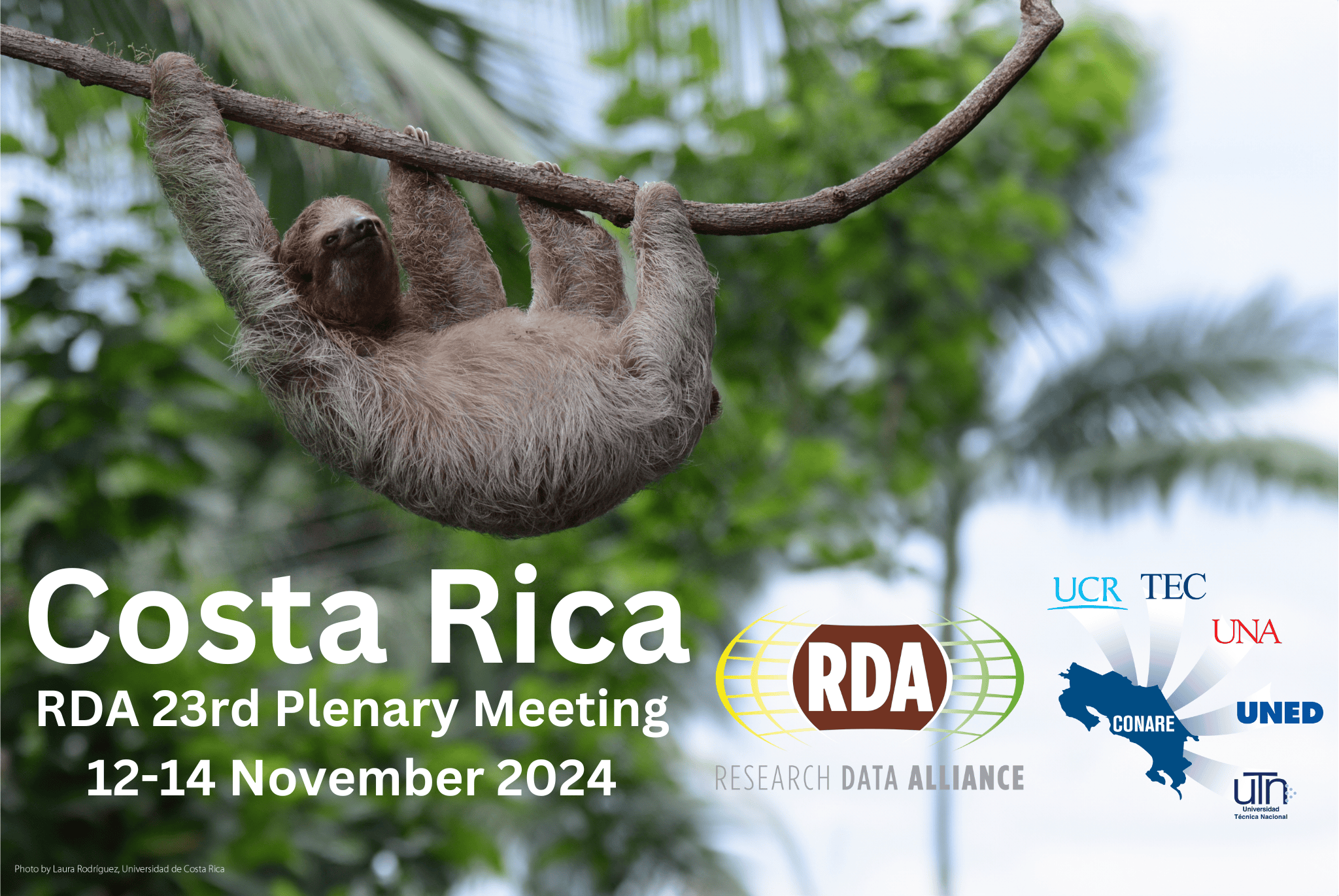 RDA Plenary 2024 - banner