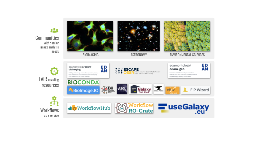 FAIR image analysis across sciences - project image