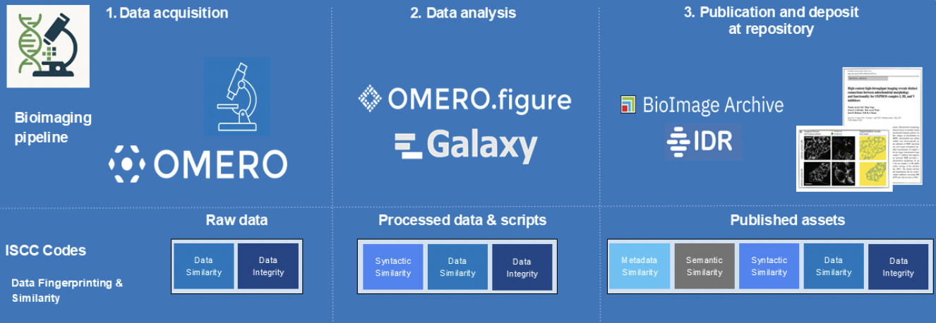 BIO-CODES-Workflow-overview